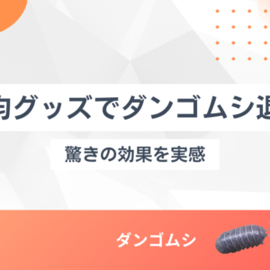 100均グッズでダンゴムシを駆除